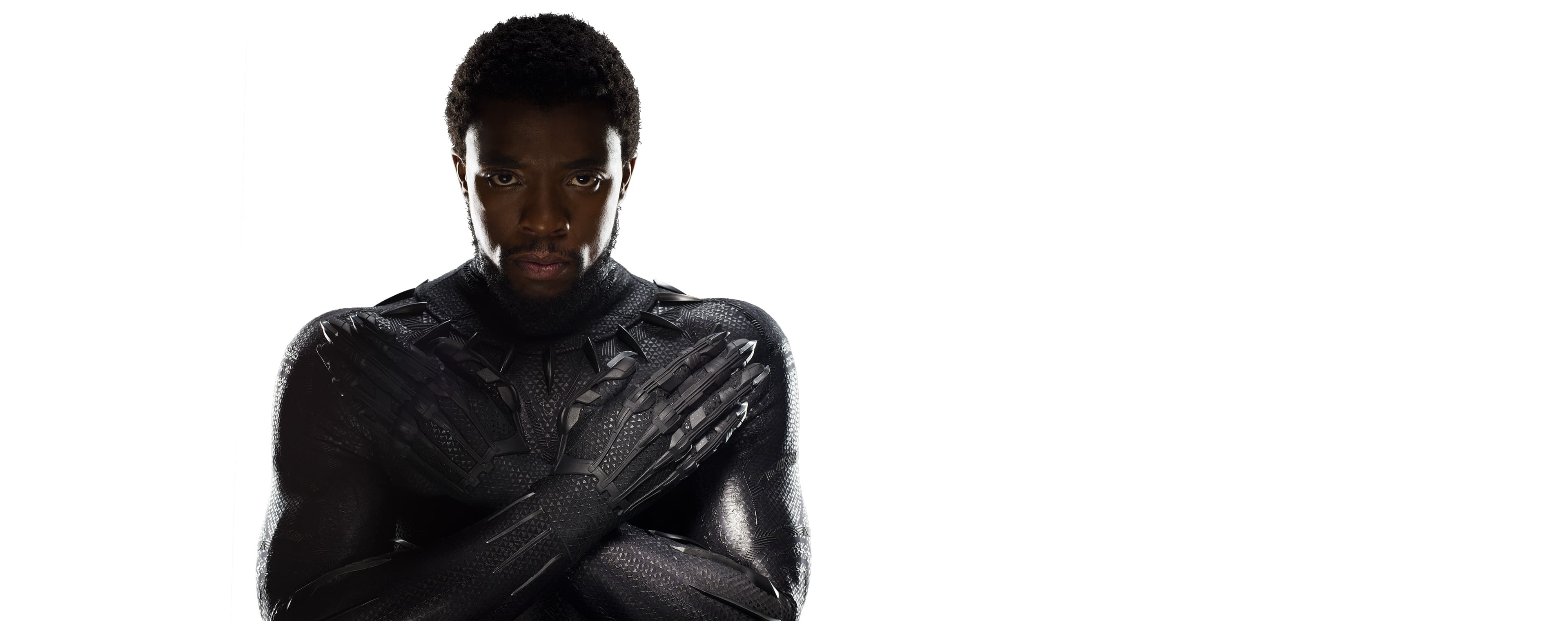 Black Panther (T’Challa) character artwork from Marvel